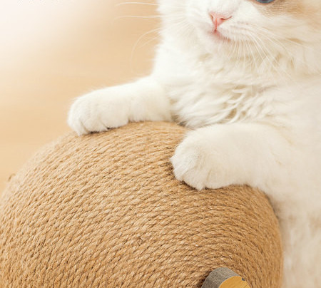 Scratch ümmarguse kujuga sisalist alusel