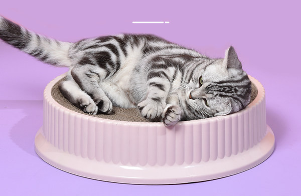 Okrugla grebalica za mačke - više boja