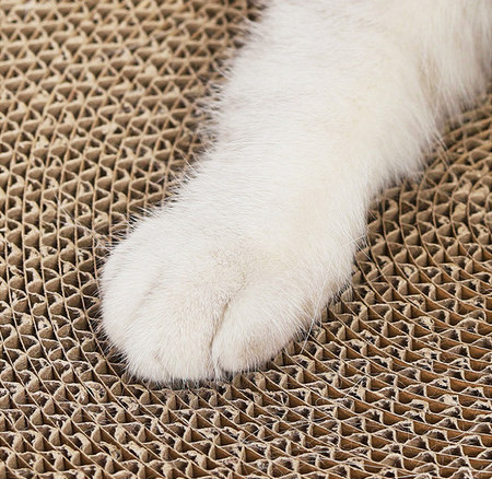 Ξύστρα  για γάτα σε σχήμα φωλιάς