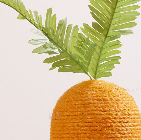 Vertikaalne kraabits kassidele – mitu mudelit