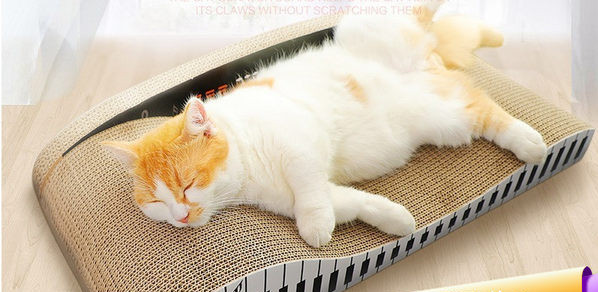 Grebalica za mačke od valovitog papira - različiti modeli i veličine