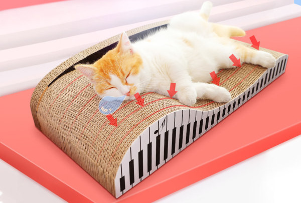 Grebalica za mačke od valovitog papira - različiti modeli i veličine