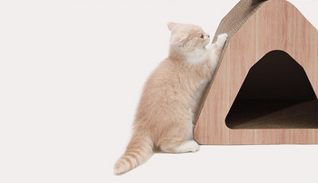 Σπίτι γάτας και ξύστρα ξύλου και κυματοειδές χαρτί