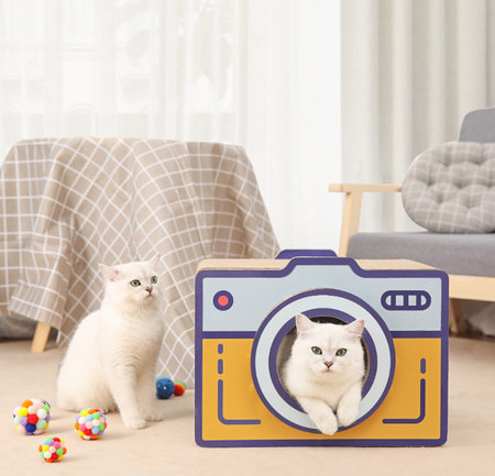 Lainepaberist puidust kast kassidele