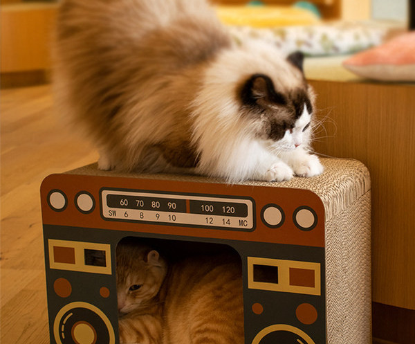 Kaķu skrāpis televizora formā