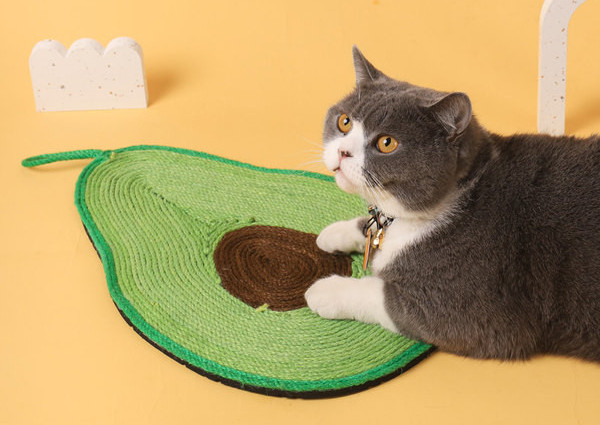 Grebalica za mačke različitih oblika