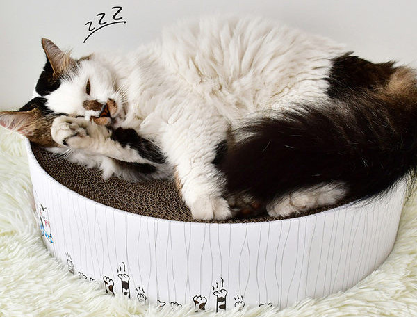 Ümmargune kraabits kassidele – lainepaberist