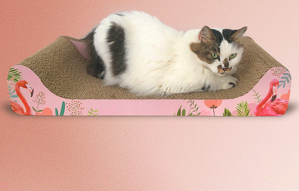 Zgarietor din lemn potrivit pentru caini