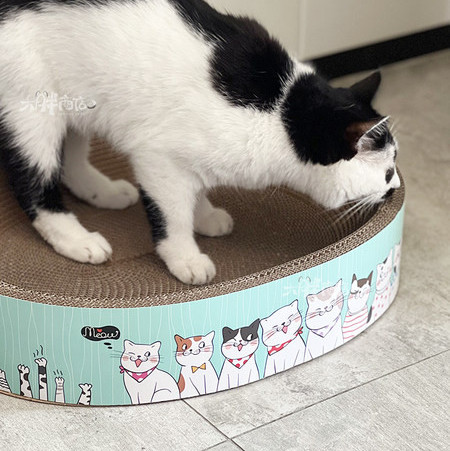 Ümmargune kraabits kassidele