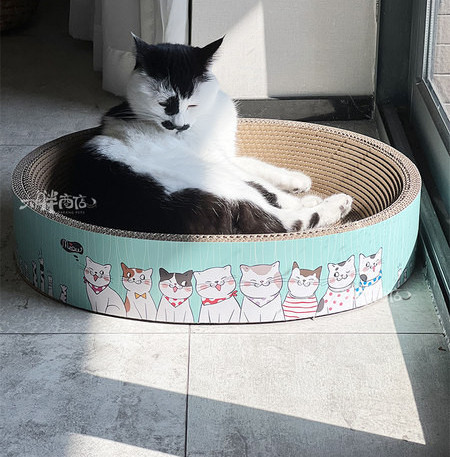 Ümmargune kraabits kassidele