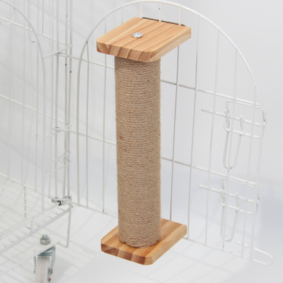 Sambakraabits kassidele