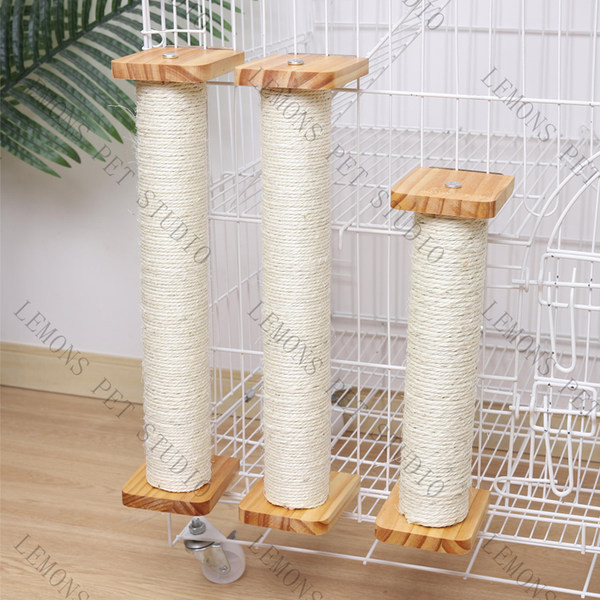 Sambakraabits kassidele