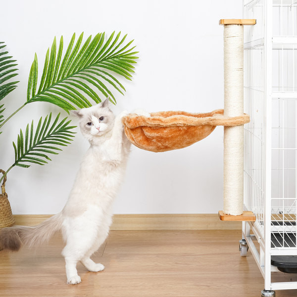 Ξύστρα για γάτες πολλών χρωμάτων