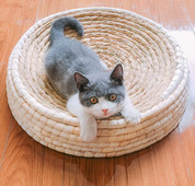 Grebalica za mačke okruglog oblika