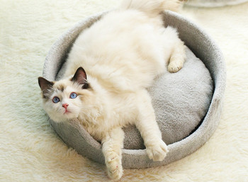 Τύπος κρεβατιού με ξύστρα γάτας σε γκρι χρώμα