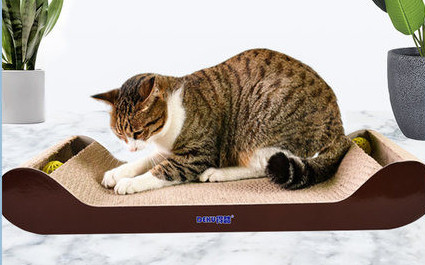 Kaķu skrāpējamā tipa gulta