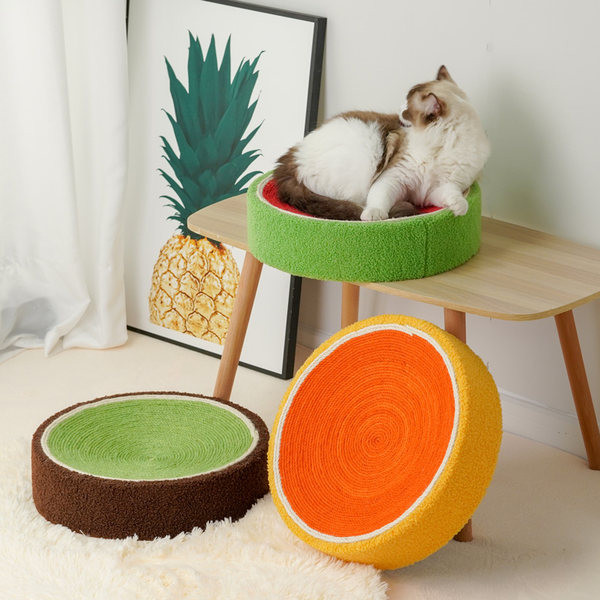 Mitmes värvitoonis ümmargune kraabits kassidele