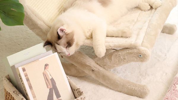 Grebalica za mačke smeđe boje