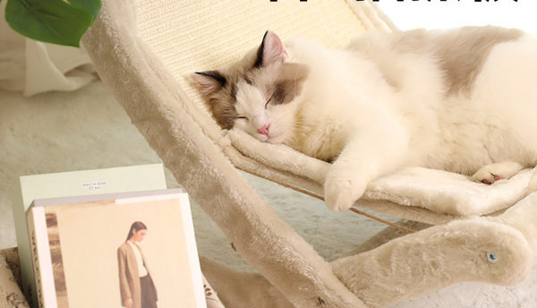 Grebalica za mačke smeđe boje