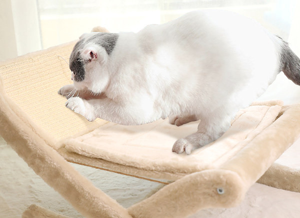 Grebalica za mačke smeđe boje