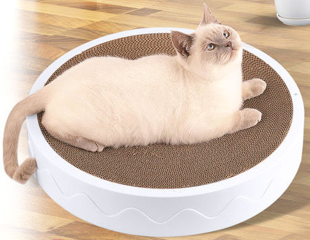 Apaļš kaķu skrāpis