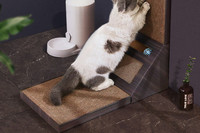 Puidust kraabits kassidele