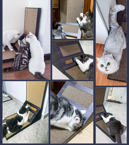 Puidust kraabits kassidele