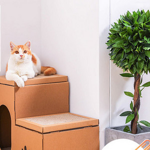 Koka skrāpis kaķiem