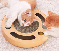 Scarlet pentru pisici in forma rotunda