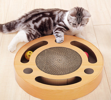 Scarlet pentru pisici in forma rotunda