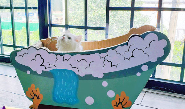 Grebalica za mačke u dvije boje