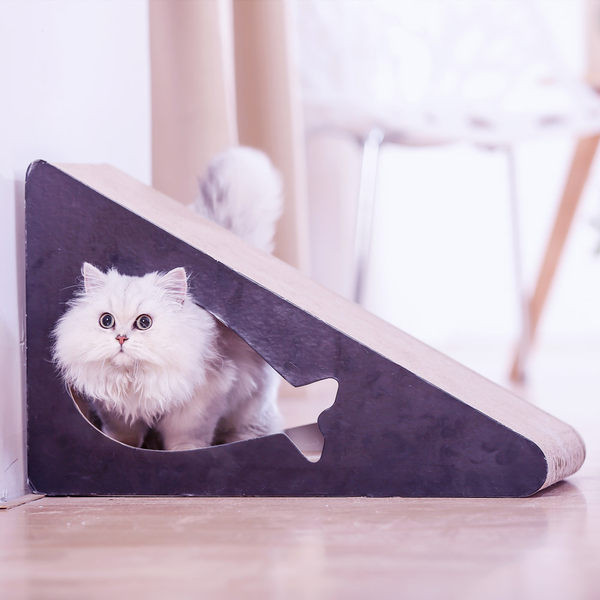 Ξύστρα για γάτες