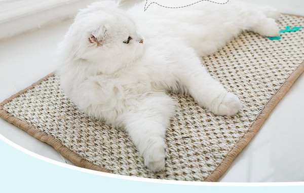 Pesak za mačke u bež boji