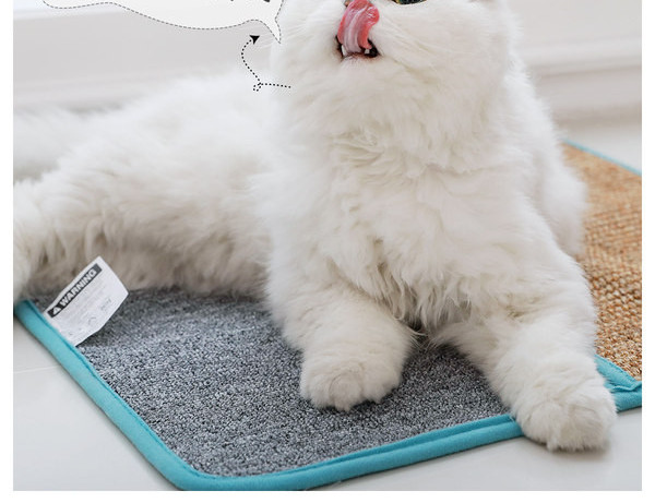 Pesak za mačke u bež boji