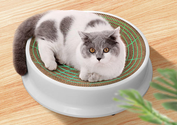 Okrugla grebalica za mačke