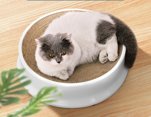 Okrugla grebalica za mačke