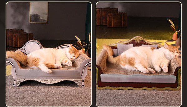 Pat zgarietor pentru pisici