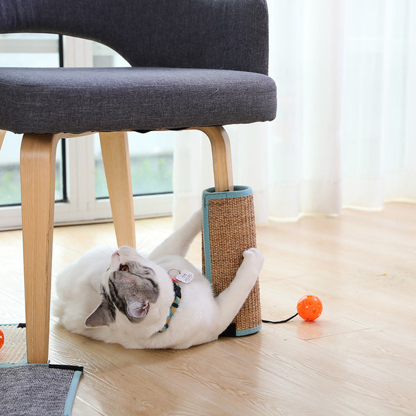 Σκαρίφημα γάτας με μενταγιόν - τρία χρώματα