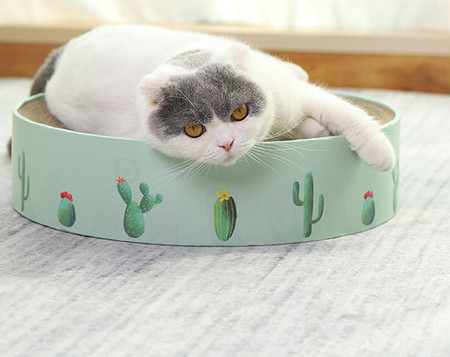 Kassi voodi kraabitsaga - rohelist värvi