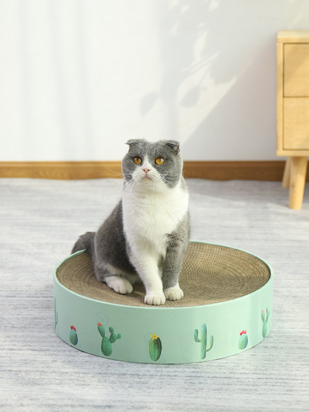 Kassi voodi kraabitsaga - rohelist värvi