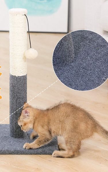 Tabla za mačke sa privjeskom - dvije boje