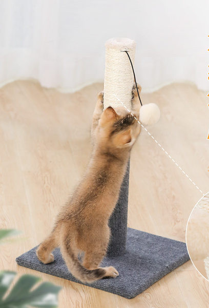 Tabla za mačke sa privjeskom - dvije boje