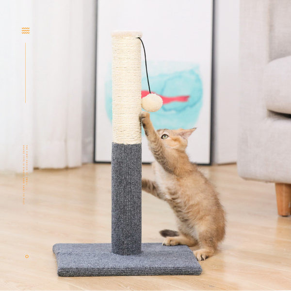 Tabla za mačke sa privjeskom - dvije boje