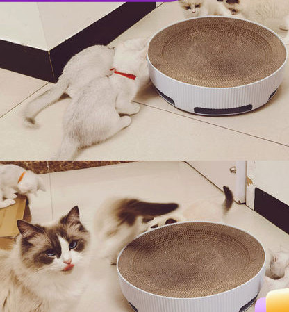 Okrugli pijesak za mačke