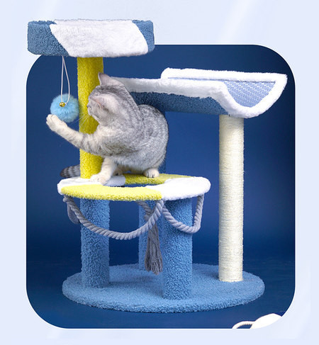 Kaķu alpīnists-skribelētājs