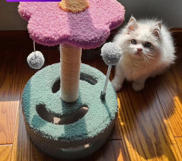 Rotaļlieta kaķiem - divu krāsu