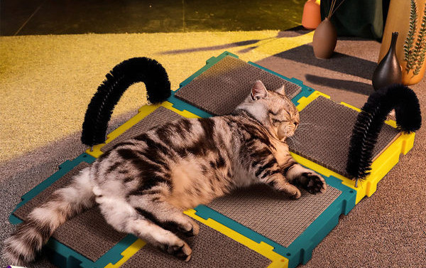 Placa de zgariat pisici - mai multe modele