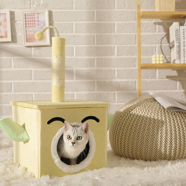 Cățărător cu pat și zgâriere pentru pisici