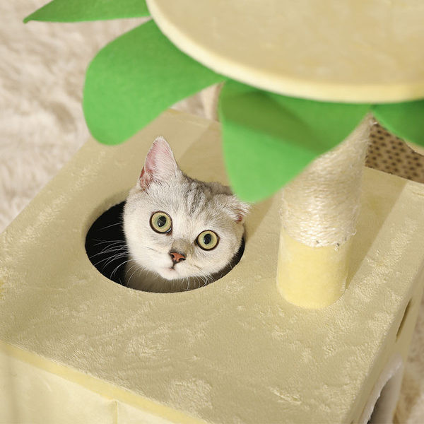 Cățărător cu pat și zgâriere pentru pisici