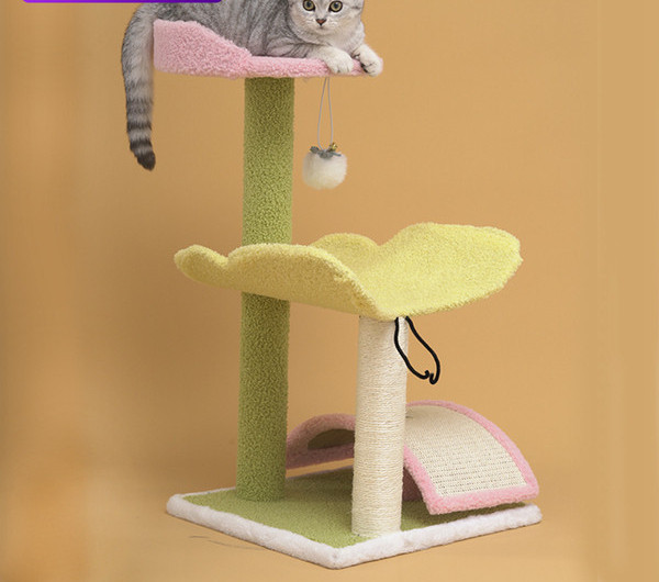 Kaķu alpīnistu-skrāpēju divi modeļi